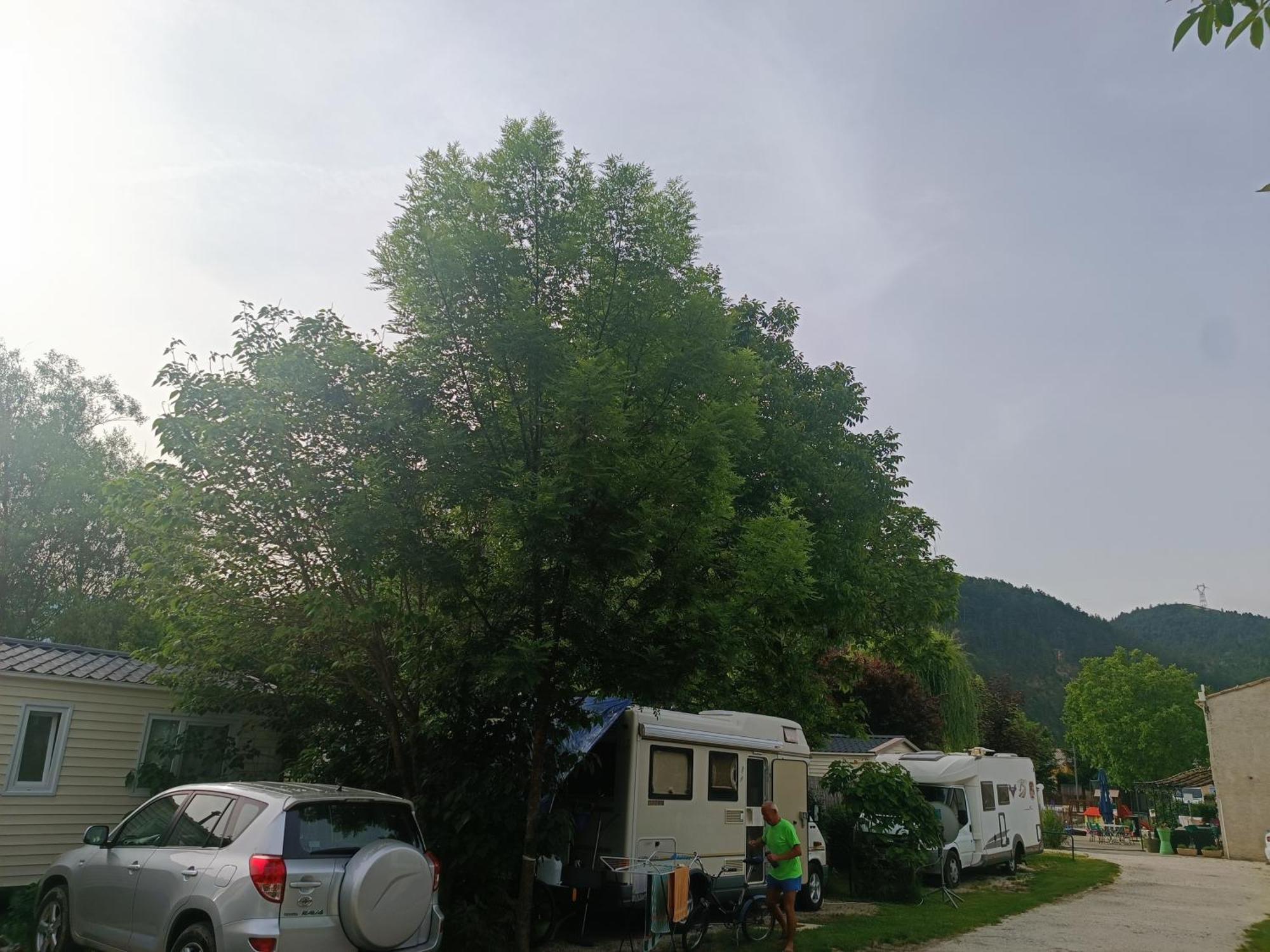 Camping Les Lavandes, Castellane Exterior photo